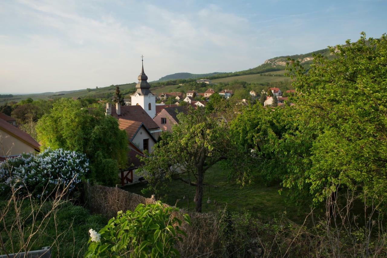Maison d'hôtes U Floderu à Bavory Extérieur photo