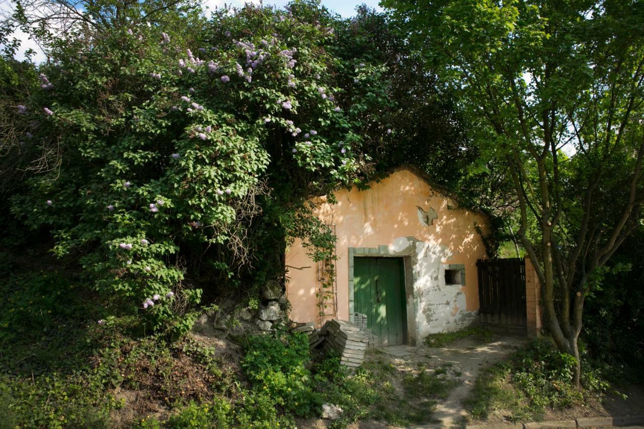 Maison d'hôtes U Floderu à Bavory Extérieur photo